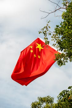 外国游客扎堆来华过春节 中国年为何火遍全球