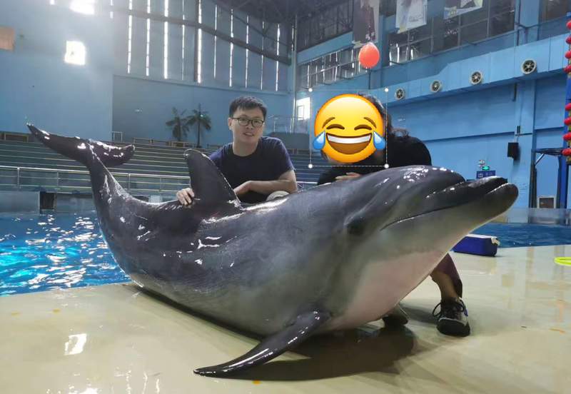  从脑科学到性行为：宽吻海豚如何用智慧重塑繁殖策略 新闻 从脑科学到性行为：宽吻海豚如何用智慧重塑繁殖策略 新闻 从脑科学到性行为：宽吻海豚如何用智慧重塑繁殖策略 新闻 从脑科学到性行为：宽吻海豚如何用智慧重塑繁殖策略 新闻