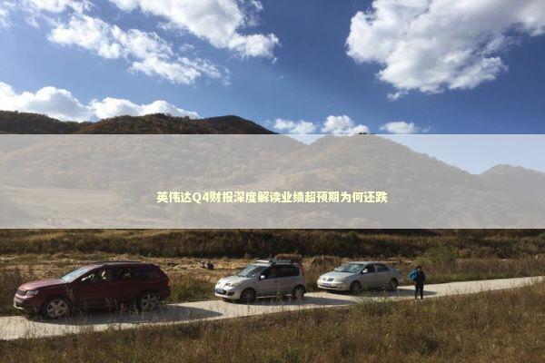 英伟达Q4财报深度解读业绩超预期为何还跌