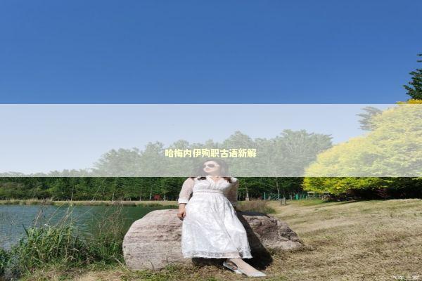 哈梅内伊殉职古语新解