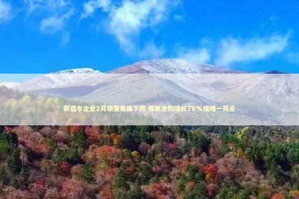 新造车企业2月销量集体下跌 极氪逆势增长70%成唯一亮点 新闻
