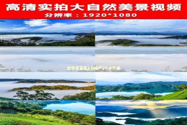 欧佩克宣布4月增产20.6万桶 新闻
