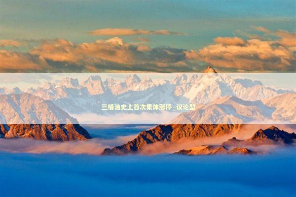 三桶油史上首次集体涨停_议论型