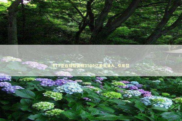 ETF正在接管美股3500亿美元涌入_引用型