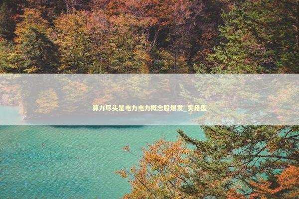 算力尽头是电力电力概念股爆发_实用型