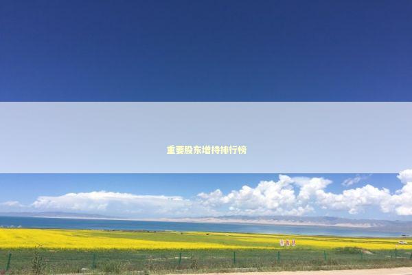 重要股东增持排行榜