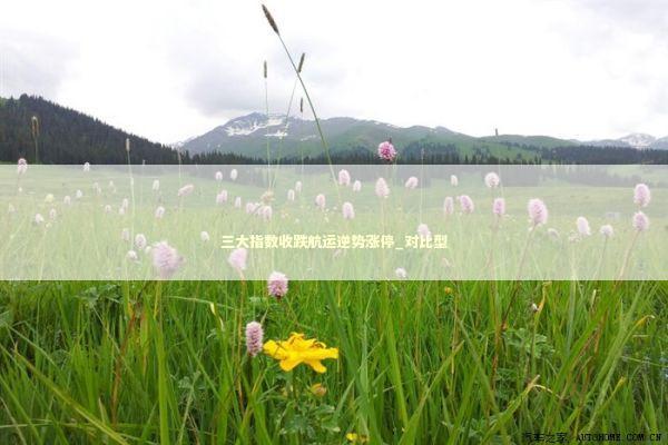 三大指数收跌航运逆势涨停_对比型