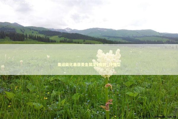 集运能化暴涨贵金属深V反转_抒情型
