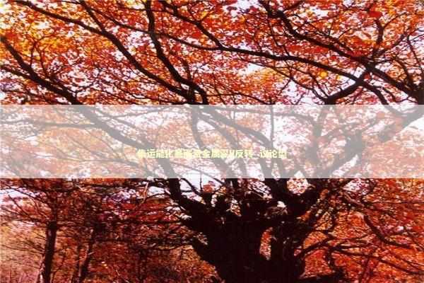 集运能化暴涨贵金属深V反转_议论型