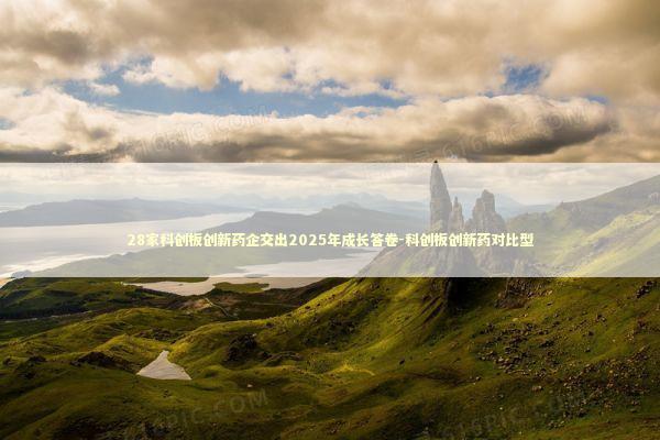 28家科创板创新药企交出2025年成长答卷-科创板创新药对比型 新闻
