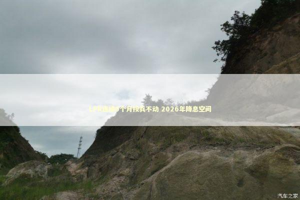 LPR连续9个月按兵不动 2026年降息空间