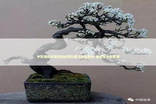 中东地缘冲突扰动全球化肥与粮食供给-粮食安全叙事型
