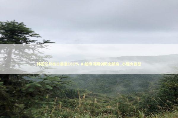 韩国芯片出口暴涨161% AI超级周期创历史新高_小题大做型 新闻