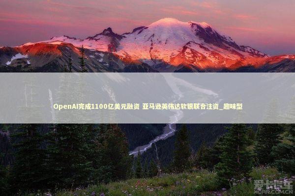 OpenAI完成1100亿美元融资 亚马逊英伟达软银联合注资_趣味型