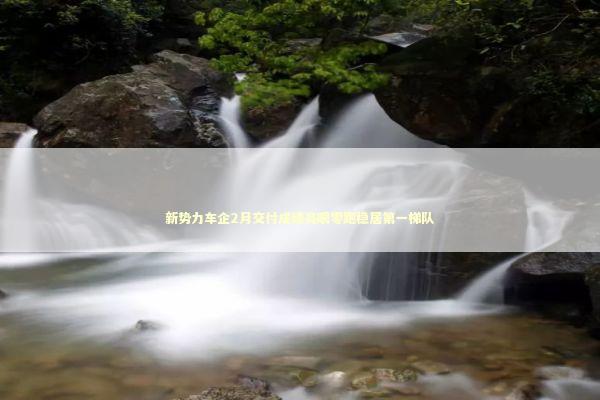新势力车企2月交付成绩亮眼零跑稳居第一梯队