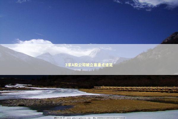 3家A股公司被立案重点速览