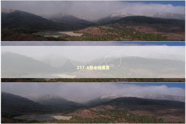 257-A股全线爆发