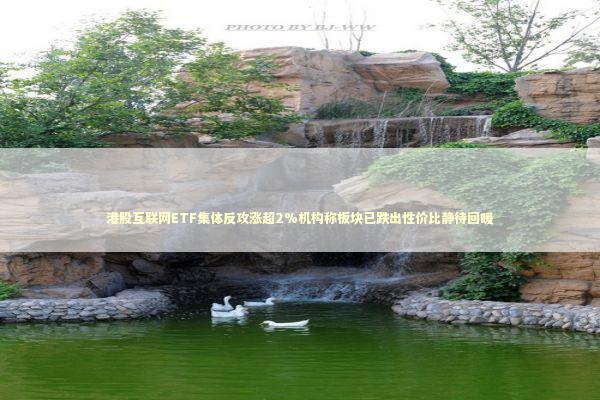 港股互联网ETF集体反攻涨超2%机构称板块已跌出性价比静待回暖