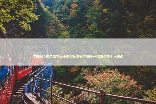 停播540天后疯狂大小杨哥纳斯达克新身份引发借壳上市传闻