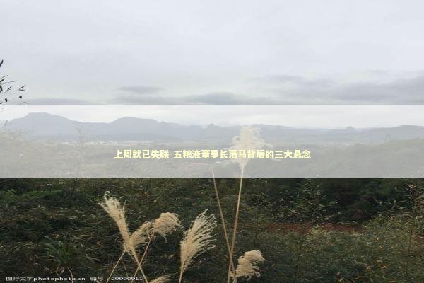 上周就已失联-五粮液董事长落马背后的三大悬念