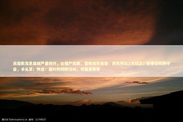 房屋散发恶臭被严重损坏，女租户失联，昆明房东报警：损失预估2万以上，她曾自称刚毕业，手头紧；物业：屋内狗彻夜狂叫，邻居曾报警