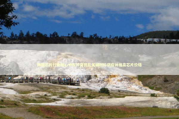 韩国芯片行业担心中东冲突扰乱关键材料供应并推高芯片价格 新闻