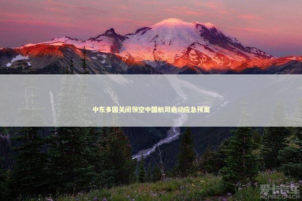 中东多国关闭领空中国航司启动应急预案 新闻