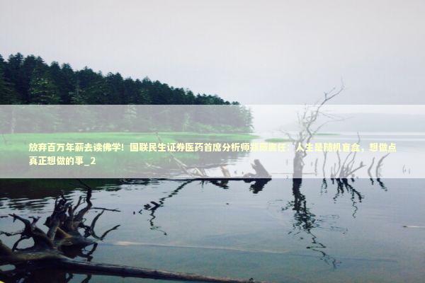 放弃百万年薪去读佛学！国联民生证券医药首席分析师郑薇离任：人生是随机盲盒，想做点真正想做的事_2