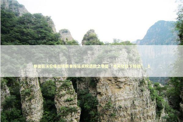 参议员沃伦痛批特朗普拖延关税退款之举是“光天化日下抢劫”_1