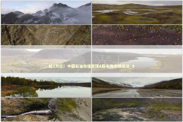 超2万亿！中国石油市值登顶A股引发市场关注_8