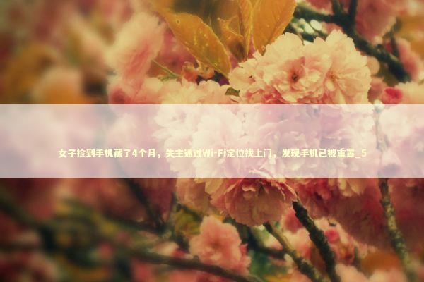 女子捡到手机藏了4个月，失主通过Wi-Fi定位找上门，发现手机已被重置_5