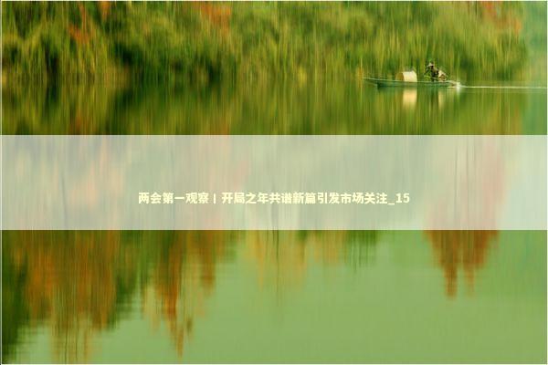 两会第一观察丨开局之年共谱新篇引发市场关注_15