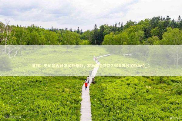 意媒：无论是否触发买断条款，罗马都会花费2500万欧买断马伦_1