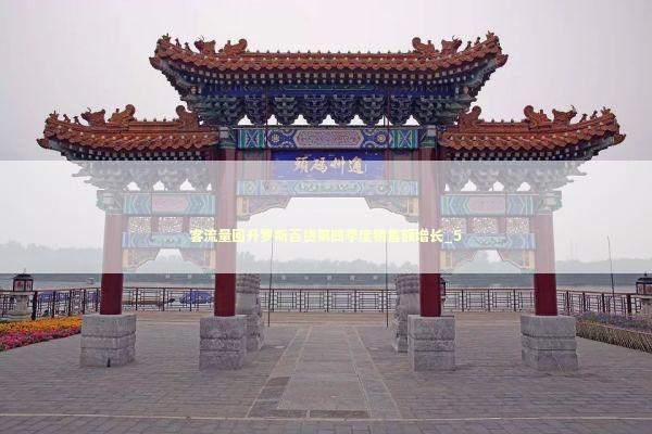客流量回升罗斯百货第四季度销售额增长_5