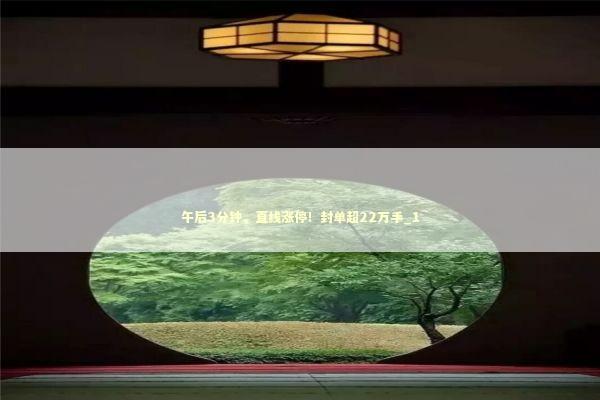 午后3分钟，直线涨停！封单超22万手_1