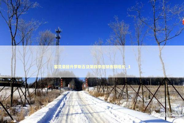 客流量回升罗斯百货第四季度销售额增长_1