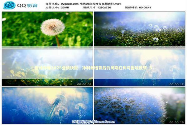 佰维存储2025业绩快报：净利暴增背后的周期红利与困境反转_5