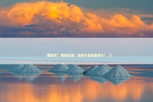 “国家队”提前买进！这些行业具备潜力！_2