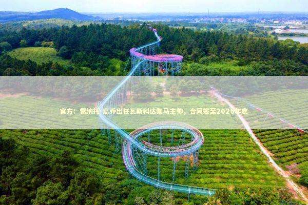 官方：雷纳托-高乔出任瓦斯科达伽马主帅，合同签至2026年底
