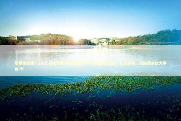 买基金去哪？2026基金代销平台深度测评：新浪仓石基金、天天基金、蚂蚁基金四大平台PK