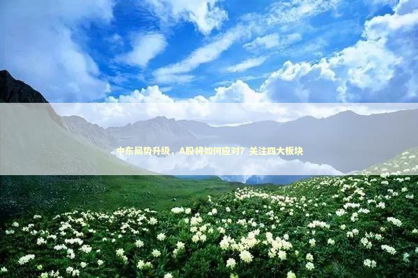 中东局势升级，A股将如何应对？关注四大板块